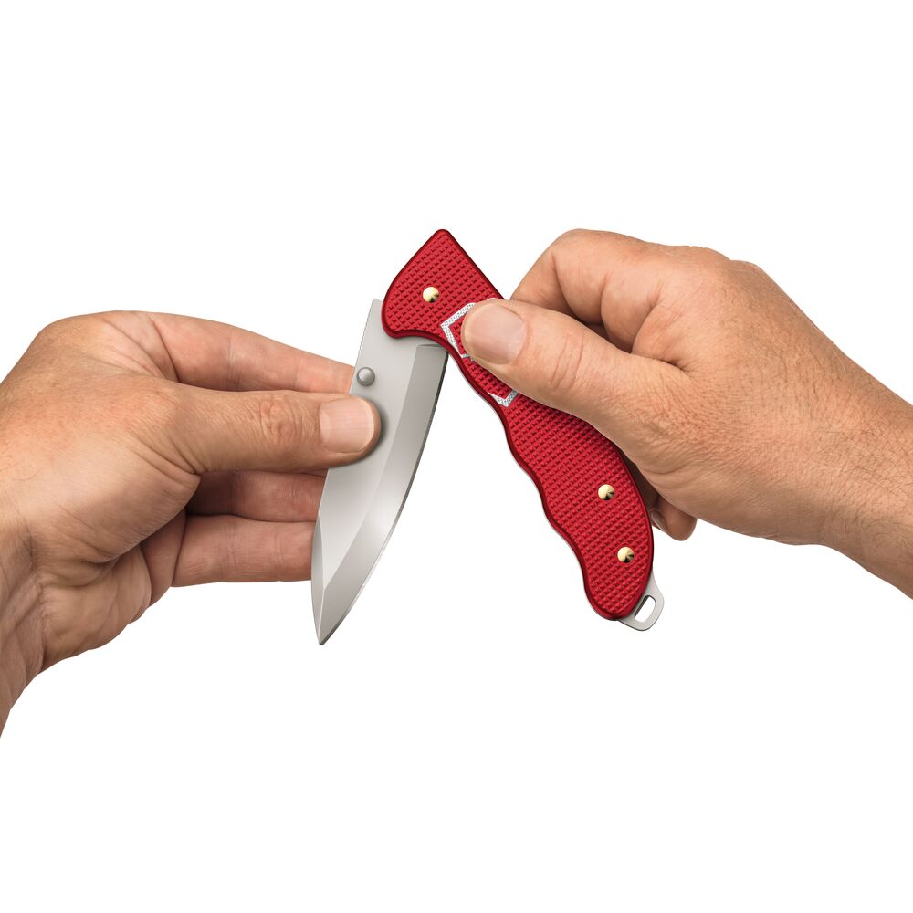 Victorinox Evoke Alox Red 0.9415.D20