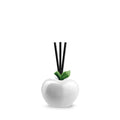 SCENT DIFFUSER APPLE WHITE CM6X6 - Egan