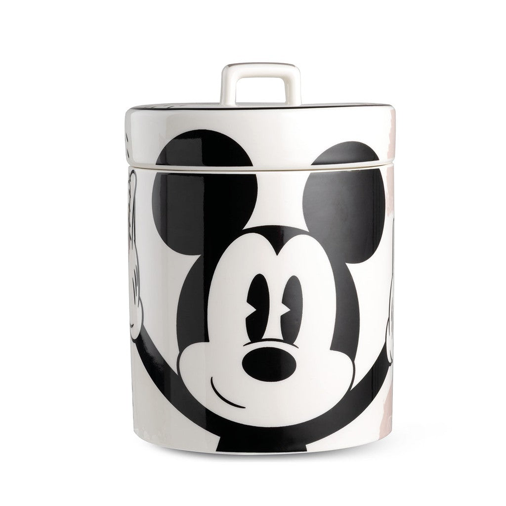 BARATTOLO/BISCOTTIERA MICKEY MOUSE ENJOY TORTORA CM14X19 - Egan