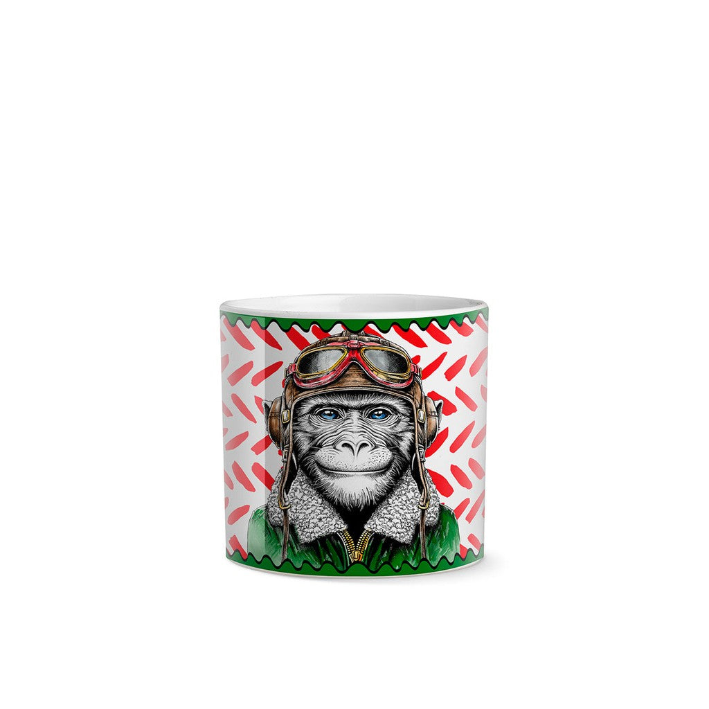 SET 4 CACHEPOT HUMAN ESSENCE SCIMMIA ''BOLDNESS'' 7X7 CM - Egan