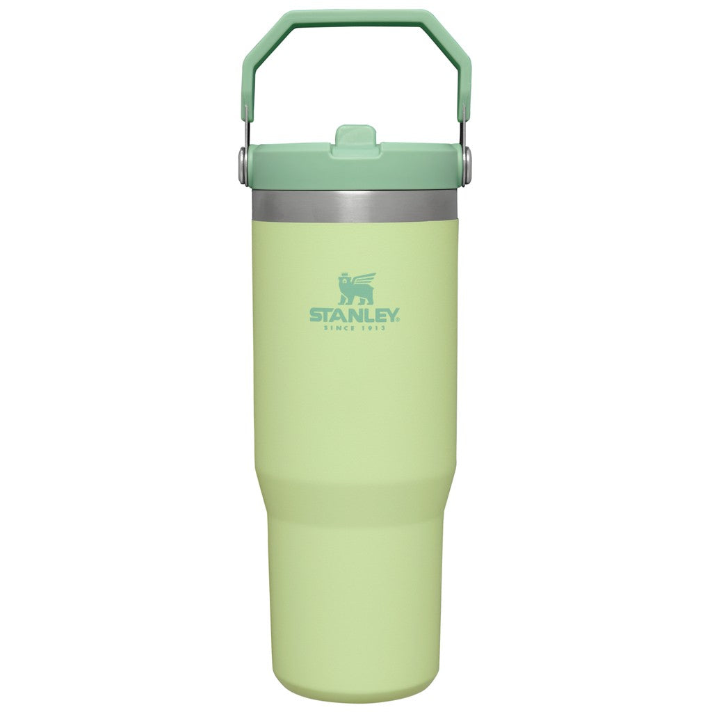 STANLEY ice Flow GO 870ml/30oz Flip Straw Wtr Btl Citron - Stanley