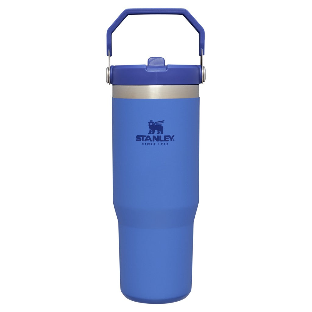 STANLEY ice Flow GO 870ml/30oz Flip Straw Wtr Btl Citron - Stanley