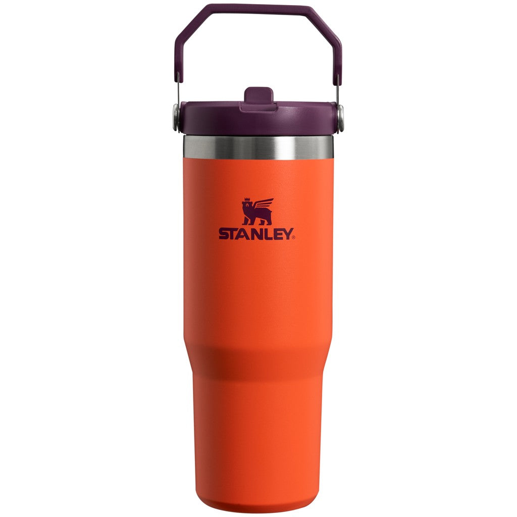 STANLEY ice Flow GO 870ml/30oz Flip Straw Wtr Btl Citron - Stanley