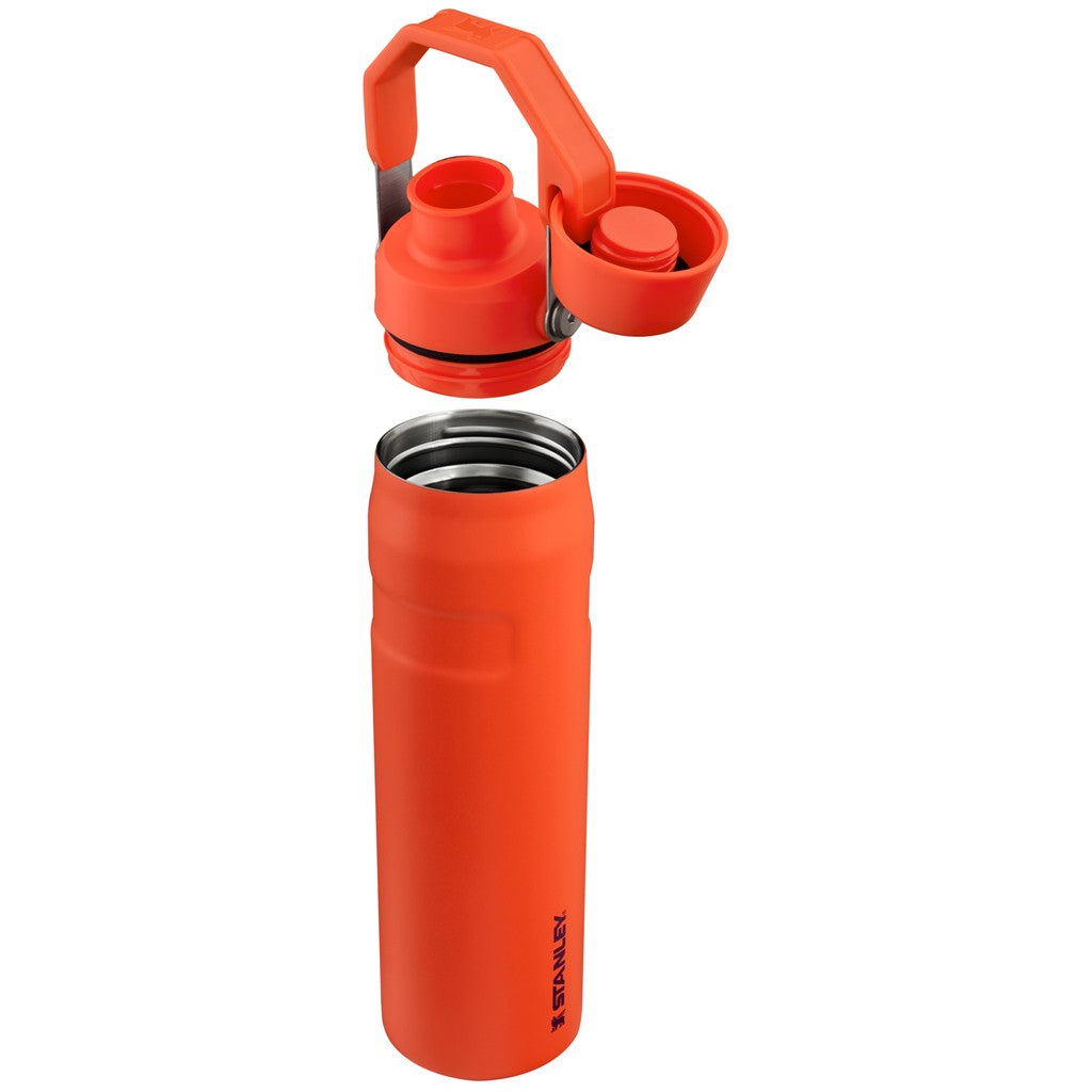Stanley Aerolight IceFlow Water Bottle Fast Flow 0.6L/20oz Tigerlily - Stanley